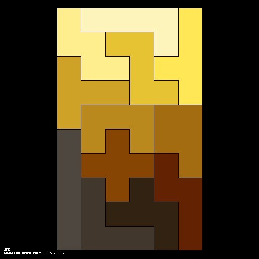 The tiling of a 6x10 rectangle by means of the 12 different pentominos [Le pavage d'un rectangle 6x10 par les 12 pentaminos diff&eacute;rents ]