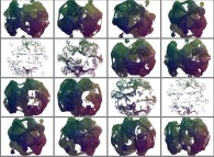 2.pi rotation about the Y axis of a pseudo-quaternionic Julia set ('MandelBulb' like: a 'JuliaBulb')-tridimensional cross-section- 