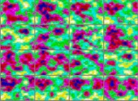 The set of bidimensional fields defining the 'Z' coordinate of a dynamic 'crumpled' Klein bottle 