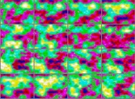 The set of bidimensional fields defining the 'X' coordinate of a dynamic 'crumpled' Klein bottle 