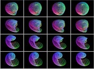 An interpolation between a shell (Jeener surface 1)and a 'double sphere' defined by means of three sets of bidimensional fields 