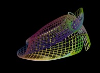 A surface between the Möbius strip and the Klein bottle defined by means of three bidimensional fields 