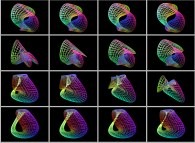 An interpolation between the Klein bottle and the double Jeener bottle defined by means of three sets of bidimensional fields 