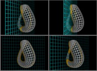 Bidimensional cross-sections of the Klein bottle 