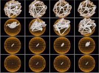 Dynamics of the even distribution of 24 points on a sphere by means of simulated annealing 