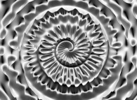 Quaternionic shell fossil 