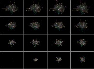 Isotropic random walk of 64 particles on a bidimensional square lattice 