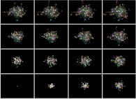 Isotropic random walk of 64 particles on a bidimensional square lattice 