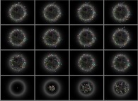 Non isotropic random walk of 64 particles on a bidimensional square lattice in a 'ring' potential 