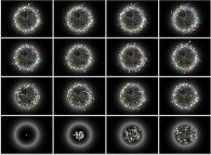 Non isotropic random walk of 64 particles on a bidimensional square lattice in a 'ring' potential 