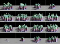 Tridimensional display of cross-sections inside a tridimensional fractal aggregate 