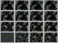 Bidimensional fractal aggregates obtained by means of two families of interacting particles with the following initial conditions about velocity: V for the Red ones and V/5 for the Blue ones 