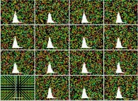 Particle collisions without energy loss in a tridimensional space with display of the velocity histogram 