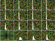 Particle collisions with energy loss in a tridimensional space with display of the velocity histogram 