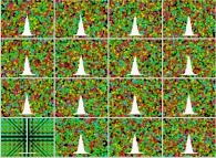 A tridimensional periodical fluid with display of velocity histograms 