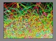 The trajectories of high temperature particles in a bidimensional box submitted to a vertical field of gravity 