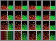 A perfect bidimensional piston with following initial conditions: still piston, high temperature particles at left and low temperature particles at right, in a bidimensional box submitted to a vertical field of gravity 