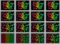 Bidimensional fractal aggregates obtained by means of a 100% pasting process during collisions of particles submitted to an attractive central field of gravity 