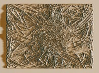 Artistic view of the trajectories of bidimensional fractal aggregates obtained by means of pasting during collisions of particles submitted to an attractive central field of gravity 