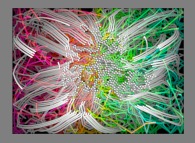 Les trajectoires des particules d'agrégats fractals bidimensionnels obtenus par collage de 50% de celles-ci lors de leurs collisions, dans un champ de gravitation central attractif 