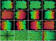 Tridimensional fractal aggregate obtained by means of a 100% pasting process during collisions of particles submitted to an attractive central field of gravity 