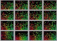 Bidimensional rectangular billiard with 50% of small particles and 50% of big particles submitted to a vertical field of gravity -small and big particles have the same mass- 