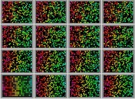 Bidimensional rectangular billiard with 50% of small light particles and 50% of big heavy particles 