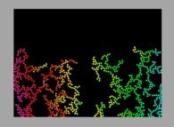 Bidimensional fractal aggregate obtained by means of a 100% pasting process during collisions of particles submitted to a vertical field of gravity 