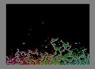 Bidimensional fractal aggregate obtained by means of a 50% pasting process during collisions of particles submitted to a vertical field of gravity 