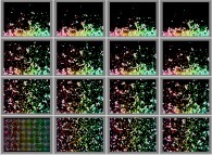 Bidimensional fractal aggregates obtained by means of a 50% pasting process during collisions of particles submitted to a vertical field of gravity 