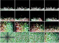 Tridimensional fractal aggregates obtained by means of a 50% pasting process during collisions of particles submitted to a vertical field of gravity 