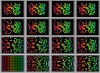 Bidimensional quasi-symmetrical fractal aggregates obtained by means of a 100% pasting process during collisions of particles submitted to an attractive central field of gravity 