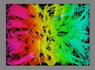 The particle trajectories of bidimensional fractal aggregates obtained by means of a 100% pasting process during collisions of particles submitted to an attractive central field of gravity 