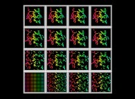 Bidimensional fractal aggregates obtained by means of a 100% pasting process during collisions of particles submitted to an attractive central field of gravity 