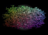 Tridimensional fractal aggregate obtained by means of a 100% pasting process during collisions of particles submitted to an attractive central field of gravity 