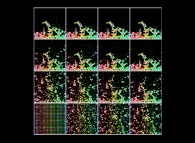 Agrégats fractals bidimensionnels obtenus par collage de 50% des particules lors de leurs collisions, dans un champ de gravitation vertical 