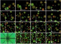 Coalescence of 40832 particles -black holes?- inside a tridimensional parallelepipedic billiard with display of the dynamics of the mass histogram 