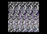 Autostereogram of 8 color-multiplexed quaternionic Julia sets -tridimensional cross-sections- 