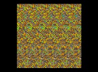 Autostereogram of the CMAP 
