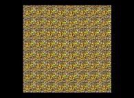 Two multiplexed autostereograms by means of a pi/2 rotation 