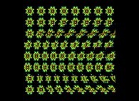 Autostereogram of a quaternionic Julia set -tridimensional cross-section-