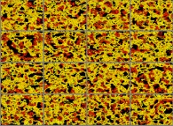 A fractal texture animation 