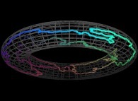 Bidimensional closed self-avoiding brownian motion on a torus 