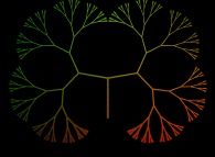 A binary tree with 256 leaves 