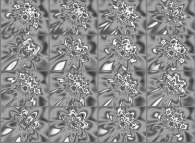 Bidimensional geometrical texture animation 