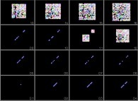 Bidimensional display of the rounding-off errors when computing the Verhulst dynamics