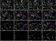 Quantum vacuum fluctuation dynamics 