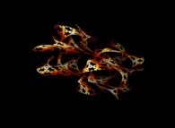 Mapping on a quadridimensional Calabi-Yau manifold of a finite subset of a periodical tiling of the plane using 4 von Koch-like snowflakes -iteration 3- 