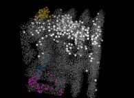 Particle diffusion inside the Hiroko Kitaoka model of the human pulmonary acinus 