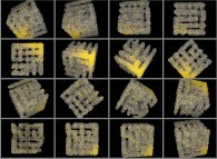 Particle diffusion inside the Hiroko Kitaoka model of the human pulmonary acinus with membrane permeability 